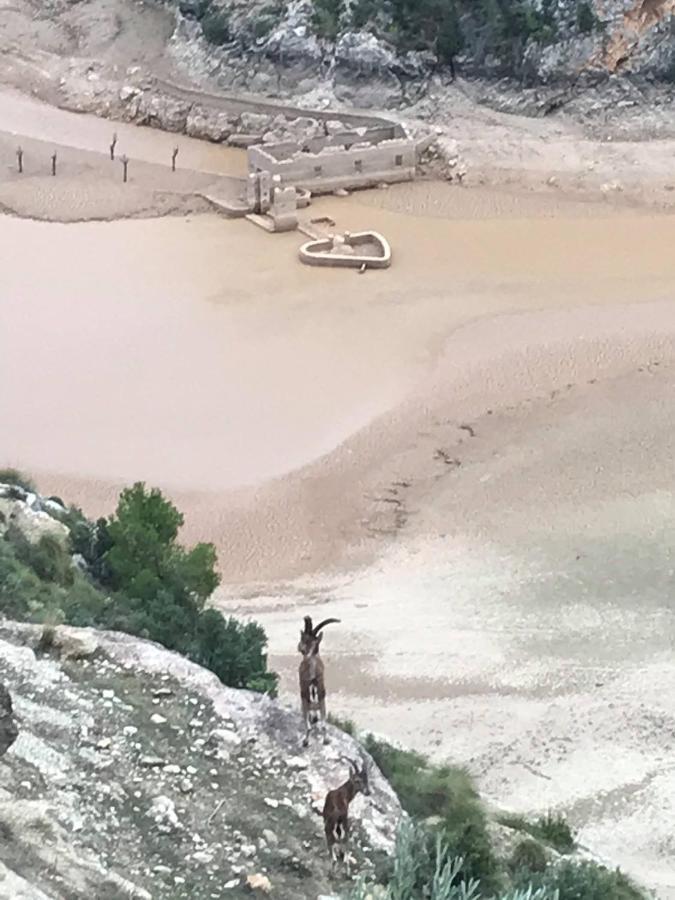 Вилла El Refugio De Chloe Villar de Ves Экстерьер фото